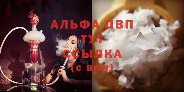 гашик Алексин