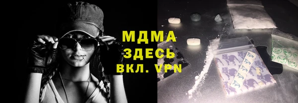 гашик Алексин