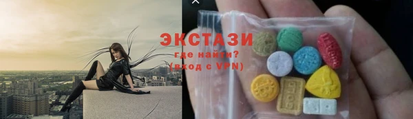 гашик Алексин