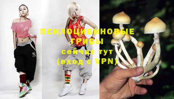 спиды Арсеньев