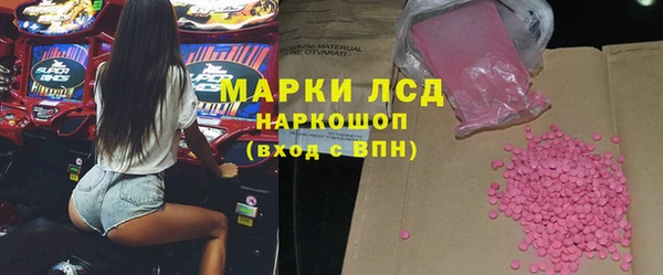 гашик Алексин