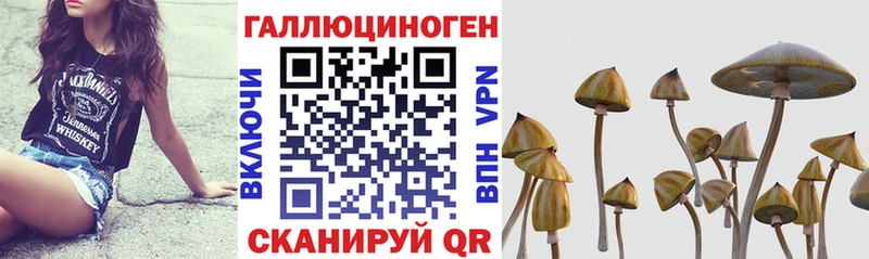 Псилоцибиновые грибы ЛСД  Липки 